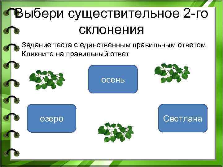 Выбери существительное 2 -го склонения • Задание теста с единственным правильным ответом. Кликните на