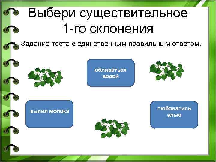 Выбери существительное 1 -го склонения • Задание теста с единственным правильным ответом. обливаться водой