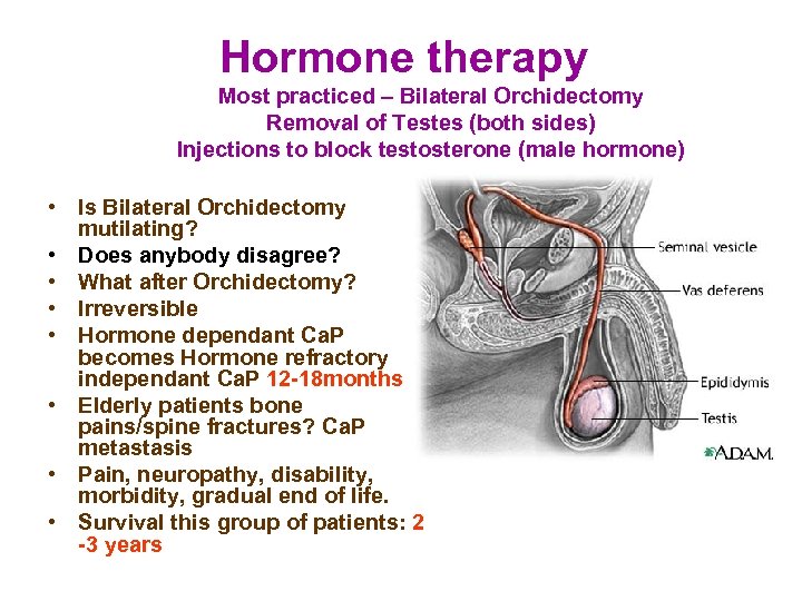 Hormone therapy Most practiced – Bilateral Orchidectomy Removal of Testes (both sides) Injections to