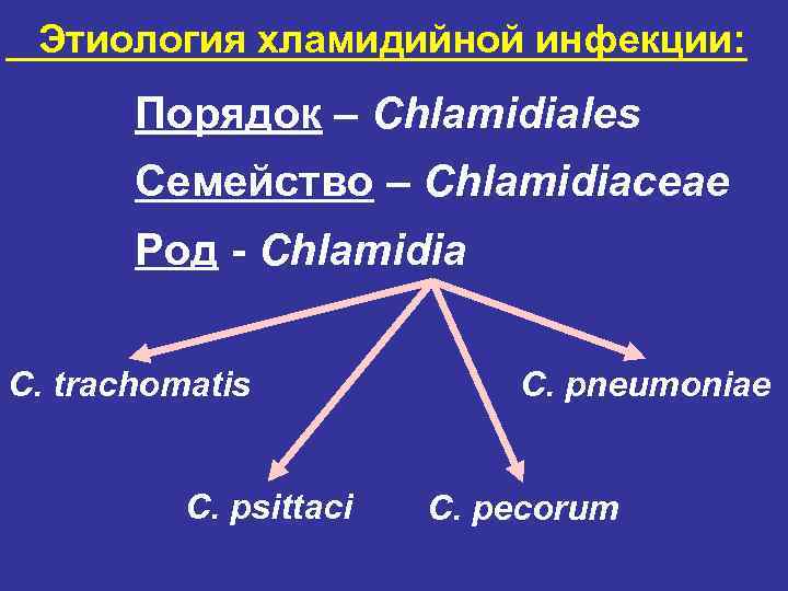 Этиология хламидийной инфекции: Порядок – Chlamidiales Семейство – Chlamidiaceae Род - Chlamidia C. trachomatis