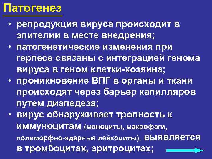 Патогенез • репродукция вируса происходит в эпителии в месте внедрения; • патогенетические изменения при