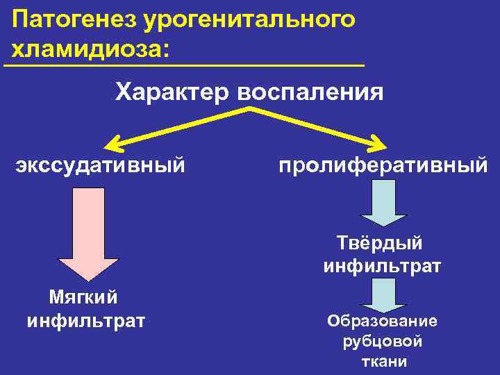 Экссудативное воспаление схема