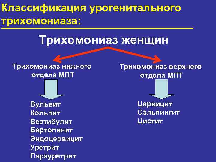 Урогенитальный трихомониаз презентация