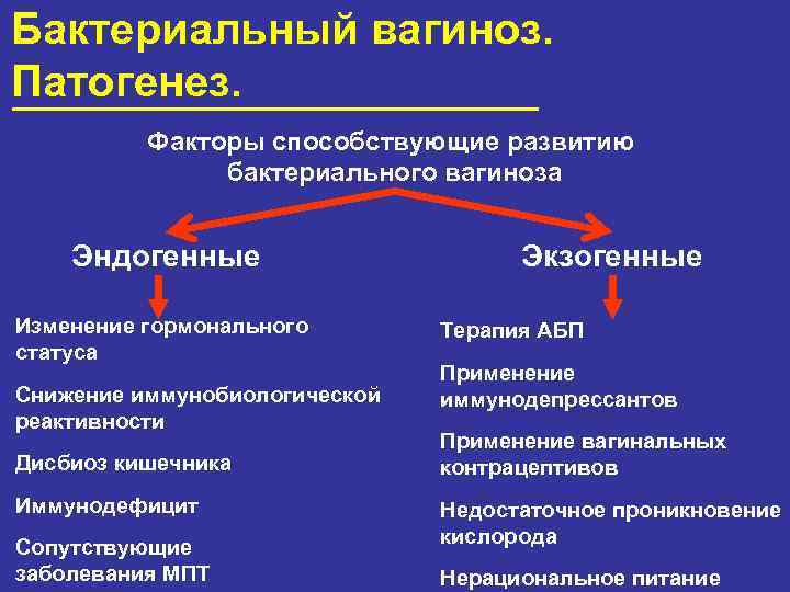 Бактериальный вагиноз. Патогенез. Факторы способствующие развитию бактериального вагиноза Эндогенные Изменение гормонального статуса Снижение иммунобиологической