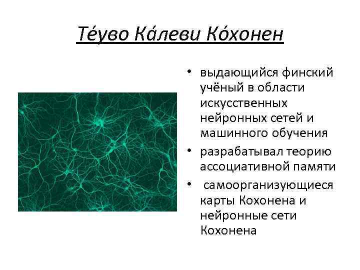Те уво Ка леви Ко хонен • выдающийся финский учёный в области искусственных нейронных