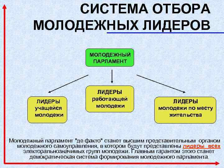 СИСТЕМА ОТБОРА МОЛОДЕЖНЫХ ЛИДЕРОВ МОЛОДЕЖНЫЙ ПАРЛАМЕНТ ЛИДЕРЫ учащейся молодежи ЛИДЕРЫ работающей молодежи ЛИДЕРЫ молодежи