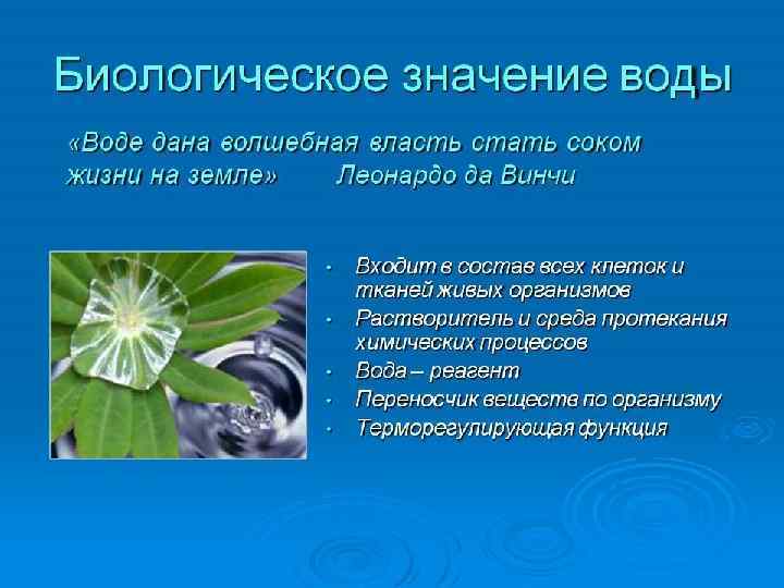 Заключение. 