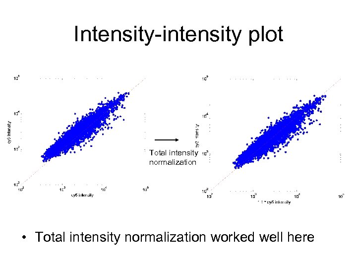 Intensity-intensity plot Total intensity normalization • Total intensity normalization worked well here 