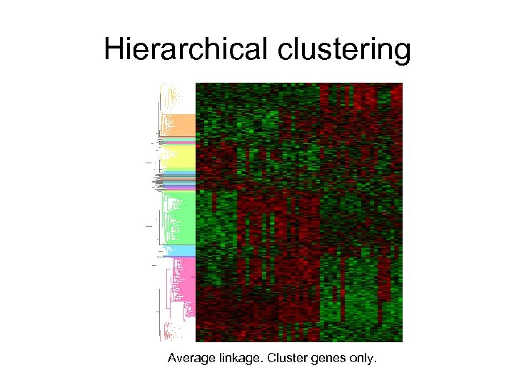 Hierarchical clustering Average linkage. Cluster genes only. 