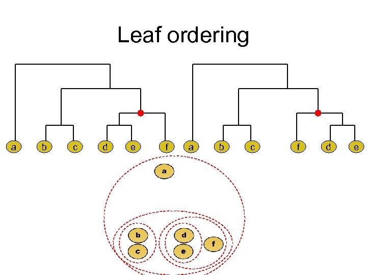 Leaf ordering a b c d e f a b c f d e