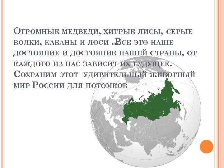 ОГРОМНЫЕ МЕДВЕДИ, ХИТРЫЕ ЛИСЫ, СЕРЫЕ ВОЛКИ, КАБАНЫ И ЛОСИ. . . СЕ ЭТО НАШЕ