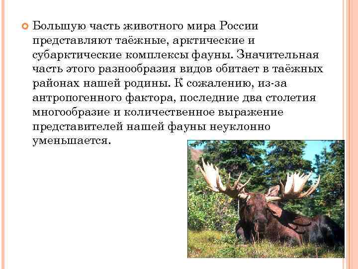  Большую часть животного мира России представляют таёжные, арктические и субарктические комплексы фауны. Значительная