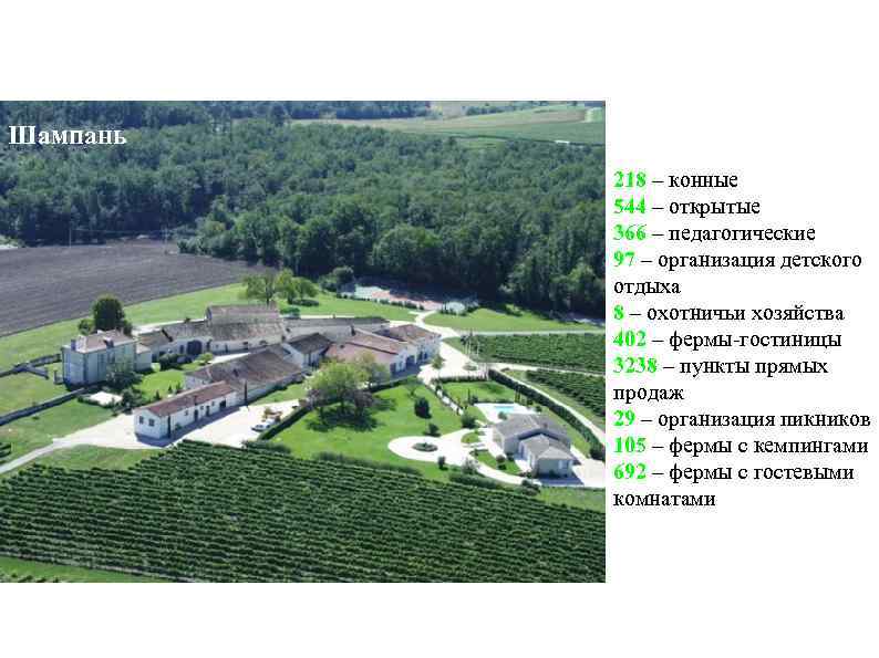 Шампань 218 – конные 544 – открытые 366 – педагогические 97 – организация детского