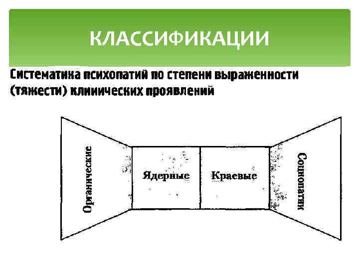 КЛАССИФИКАЦИИ 