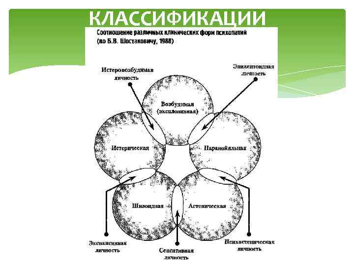 КЛАССИФИКАЦИИ 