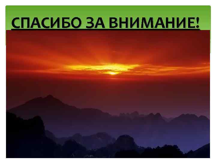 СПАСИБО ЗА ВНИМАНИЕ! 