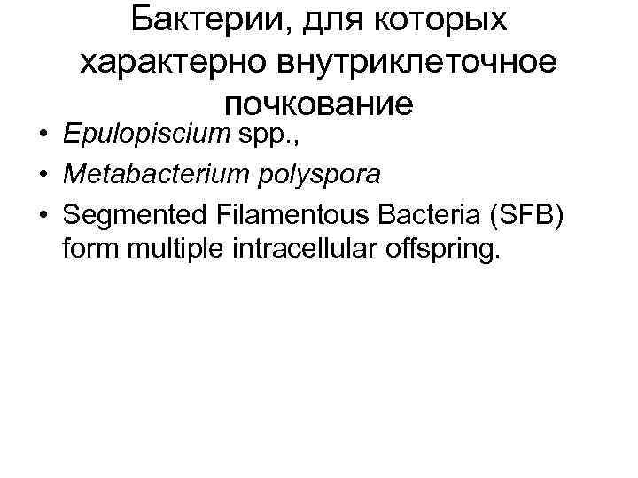 Бактерии, для которых характерно внутриклеточное почкование • Epulopiscium spp. , • Metabacterium polyspora •
