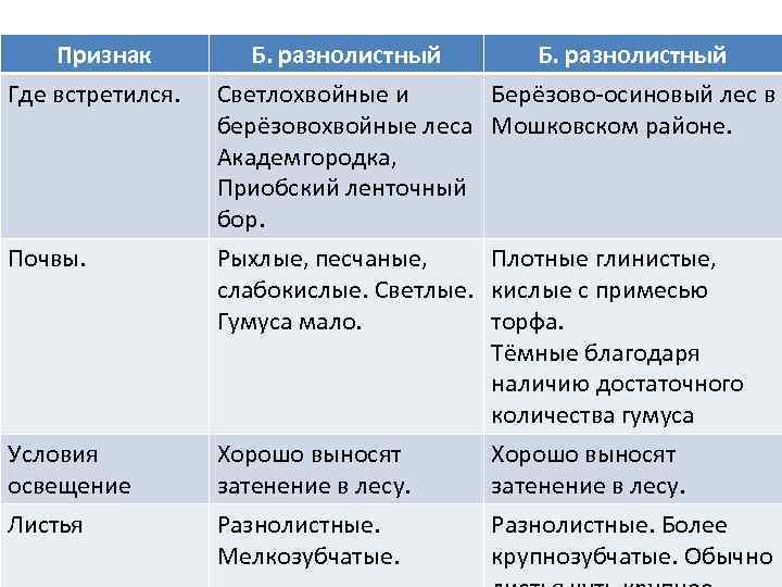 Признак Где встретился. Б. разнолистный Светлохвойные и Берёзово-осиновый лес в берёзовохвойные леса Мошковском районе.