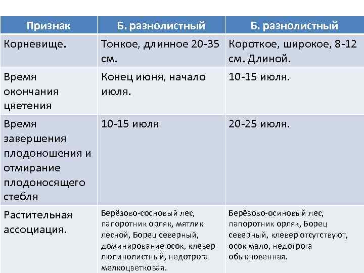Признак Корневище. Время окончания цветения Б. разнолистный Тонкое, длинное 20 -35 Короткое, широкое, 8