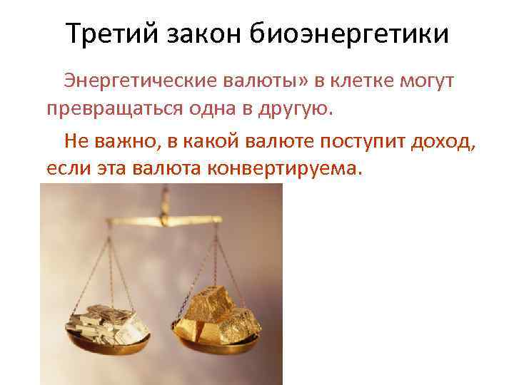 Третий закон биоэнергетики Энергетические валюты» в клетке могут превращаться одна в другую. Не важно,