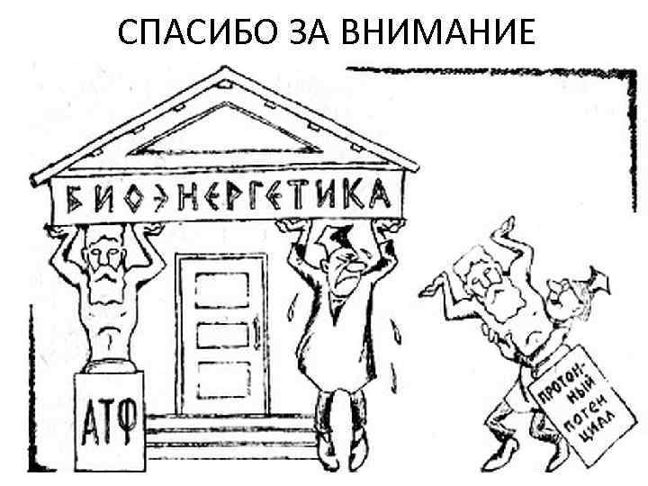 СПАСИБО ЗА ВНИМАНИЕ 