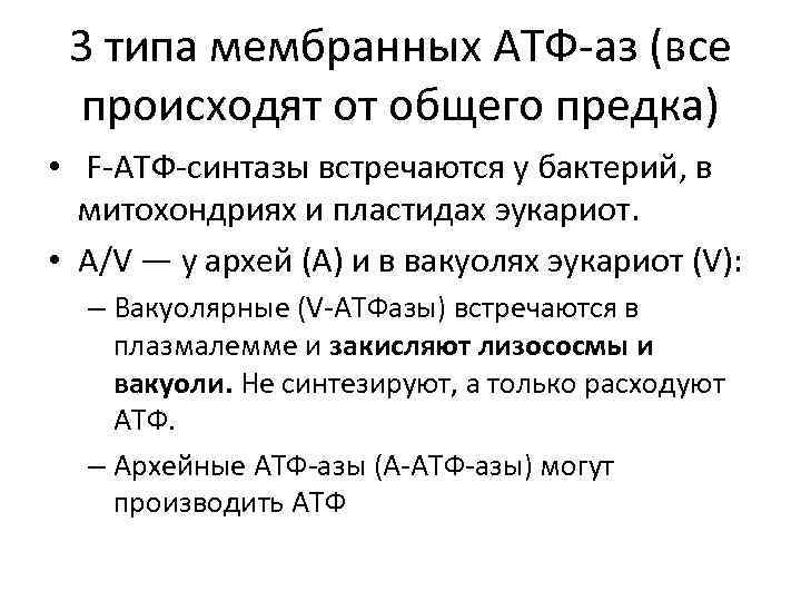 3 типа мембранных АТФ-аз (все происходят от общего предка) • F-ATФ-синтазы встречаются у бактерий,