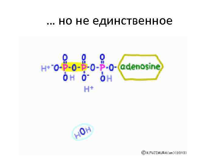 … но не единственное 