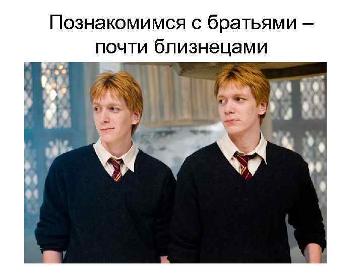 Познакомимся с братьями – почти близнецами 