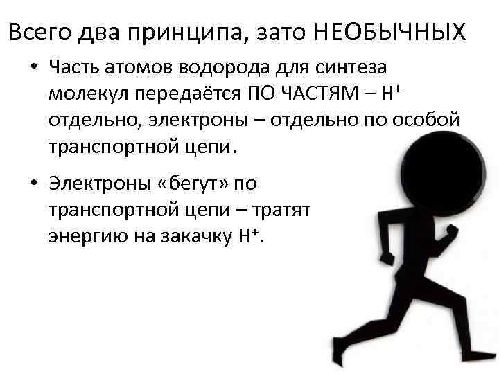 Всего два принципа, зато НЕОБЫЧНЫХ • Часть атомов водорода для синтеза молекул передаётся ПО