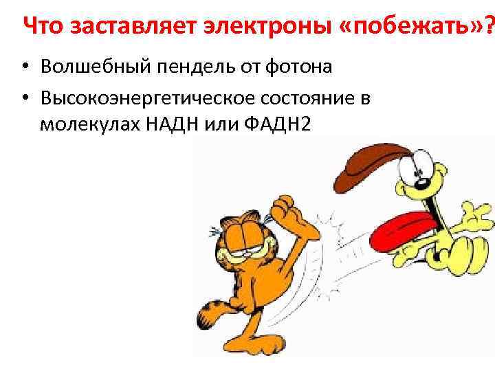 Что заставляет электроны «побежать» ? • Волшебный пендель от фотона • Высокоэнергетическое состояние в