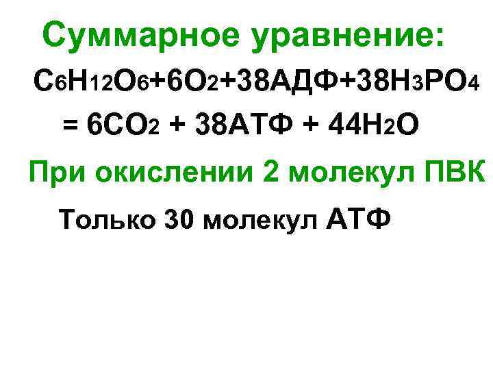 Суммарное уравнение: С 6 Н 12 О 6+6 О 2+38 АДФ+38 Н 3 РО