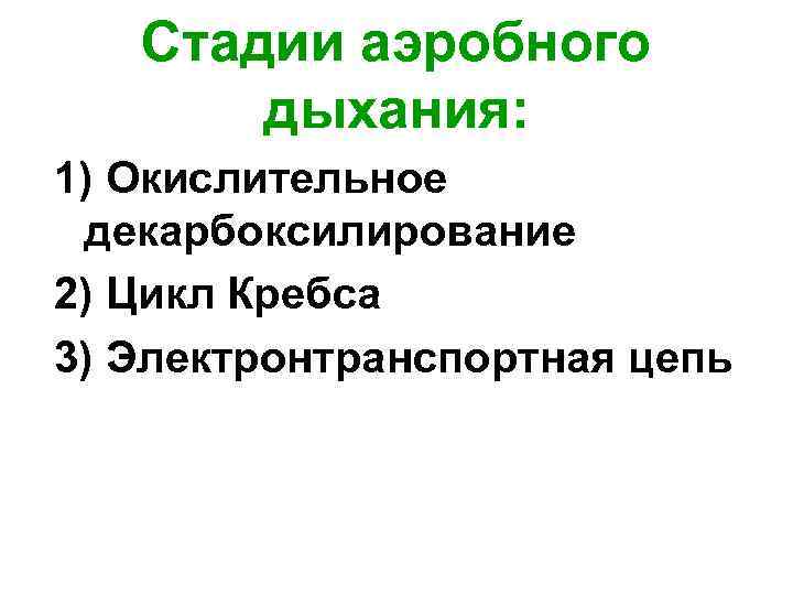 Стадии аэробного дыхания: 1) Окислительное декарбоксилирование 2) Цикл Кребса 3) Электронтранспортная цепь 