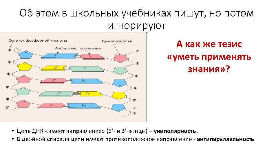 Об этом в школьных учебниках пишут, но потом игнорируют А как же тезис «уметь