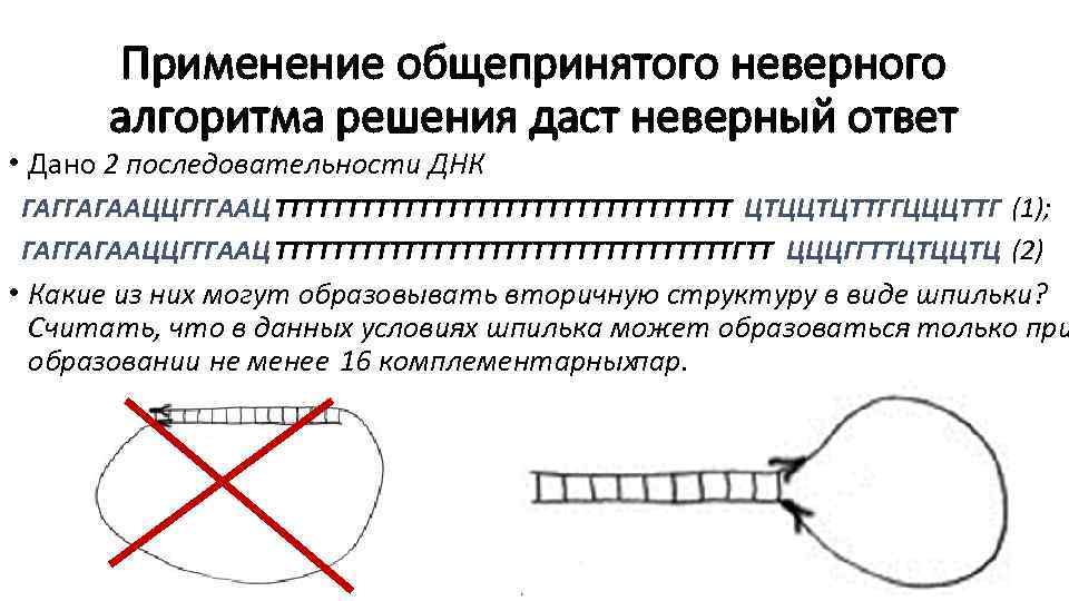 Применение общепринятого неверного алгоритма решения даст неверный ответ • Дано 2 последовательности ДНК ГАГГАГААЦЦГГГААЦТТТТТТТТТТТТТТТТ