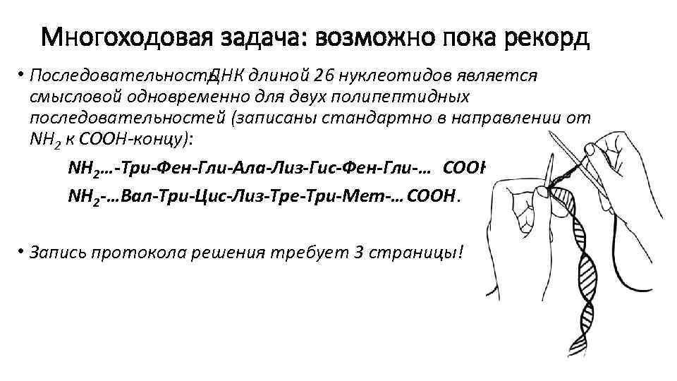 Многоходовая задача: возможно пока рекорд • Последовательность ДНК длиной 26 нуклеотидов является смысловой одновременно