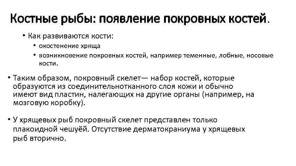 Костные рыбы: появление покровных костей. • Как развиваются кости: • окостенение хряща • возникновение