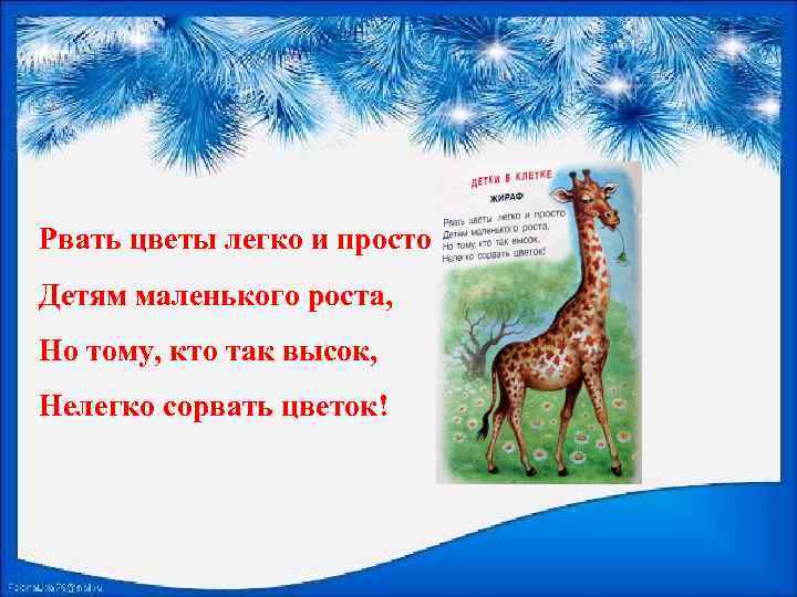 Рвать цветы легко и просто Детям маленького роста, Но тому, кто так высок, Нелегко