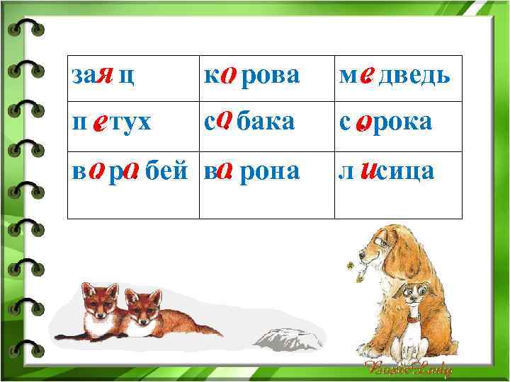 зая ц. к о рова. м е дведь. п е тух. со бака. с