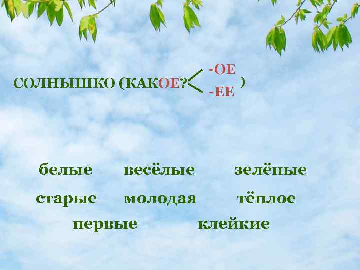 СОЛНЫШКО (КАКОЕ? -ОЕ -ЕЕ ) белые весёлые зелёные старые молодая тёплое первые клейкие 