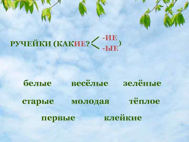 РУЧЕЙКИ (КАКИЕ? -ИЕ ) -ЫЕ белые весёлые зелёные старые молодая тёплое первые клейкие 