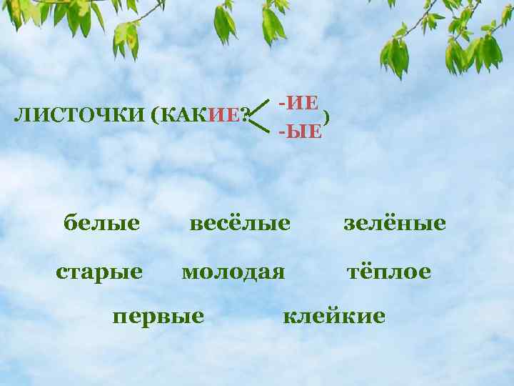 ЛИСТОЧКИ (КАКИЕ? -ИЕ ) -ЫЕ белые весёлые зелёные старые молодая тёплое первые клейкие 