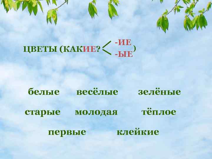 ЦВЕТЫ (КАКИЕ? -ИЕ ) -ЫЕ белые весёлые зелёные старые молодая тёплое первые клейкие 