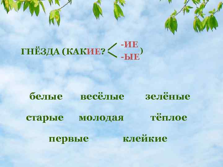 ГНЁЗДА (КАКИЕ? -ИЕ ) -ЫЕ белые весёлые зелёные старые молодая тёплое первые клейкие 