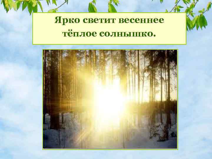 Ярко светит весеннее Что происходит в природе тёплое солнышко. весной? 