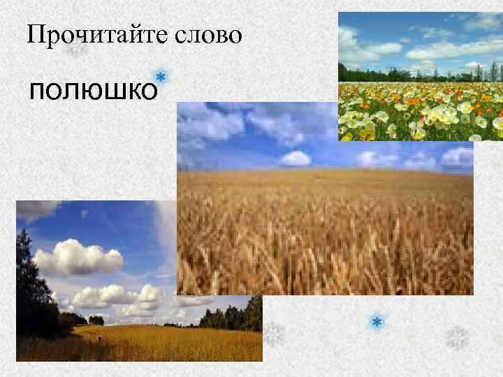 Прочитайте слово полюшко 