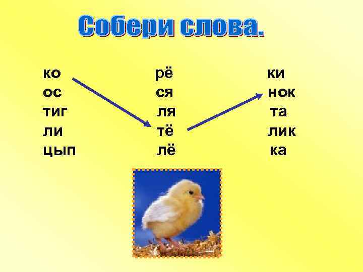 ко ос тиг ли цып рё ся ля тё лё ки нок та лик