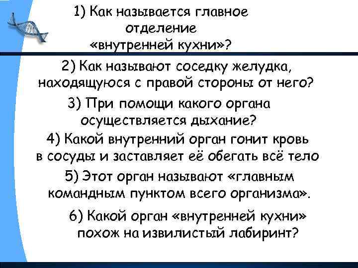 1) Как называется главное отделение «внутренней кухни» ? 2) Как называют соседку желудка, находящуюся