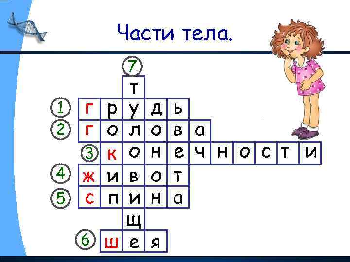 Части тела. 7 1 2 4 5 г р г о 3 к ж