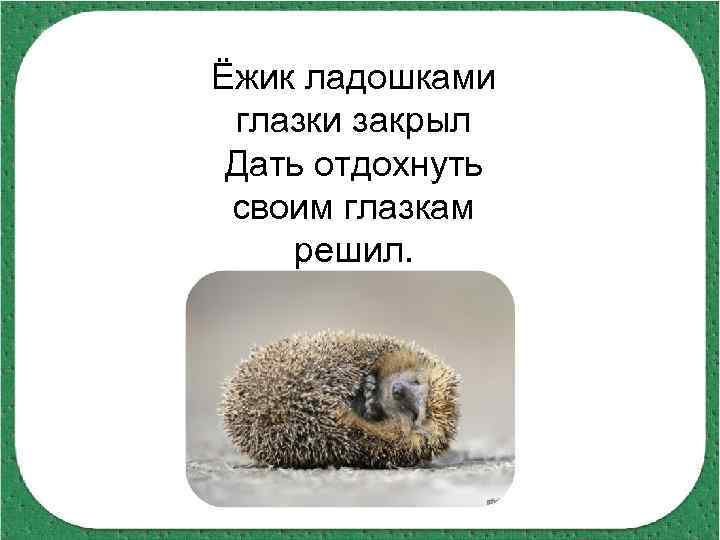 Ёжик ладошками глазки закрыл Дать отдохнуть своим глазкам решил. 