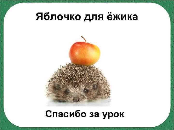 Яблочко для ёжика Спасибо за урок 